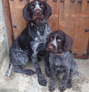 jaime valladolid abogado