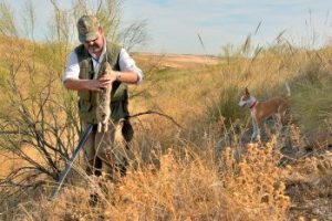 caza castilla la mancha