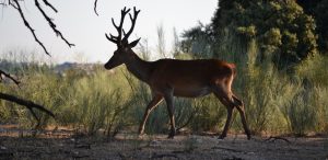 Jaime Valladolid Abogado